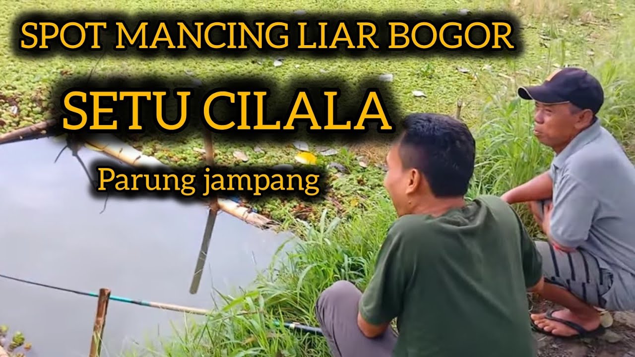 SPOT MANCING LIAR  SETU CILALA  JAMPANG PARUNG  BOGOR