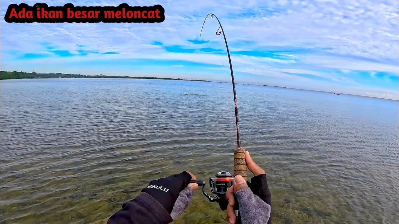 Umpan mini popper 3gr