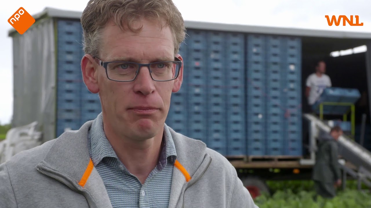 Dit is waarom biologische groenten duurder zijn