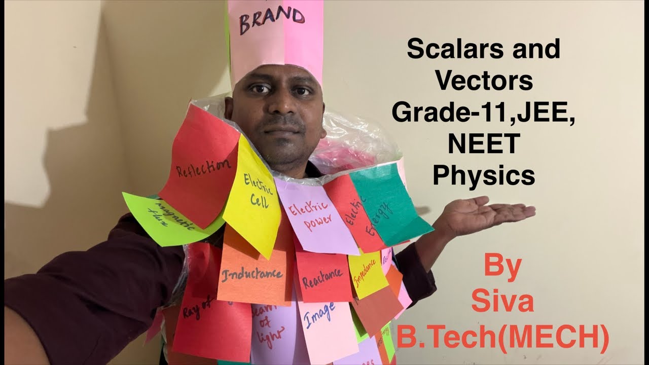 Скаляры и векторы / 11 класс / Физика / JEE/NEET