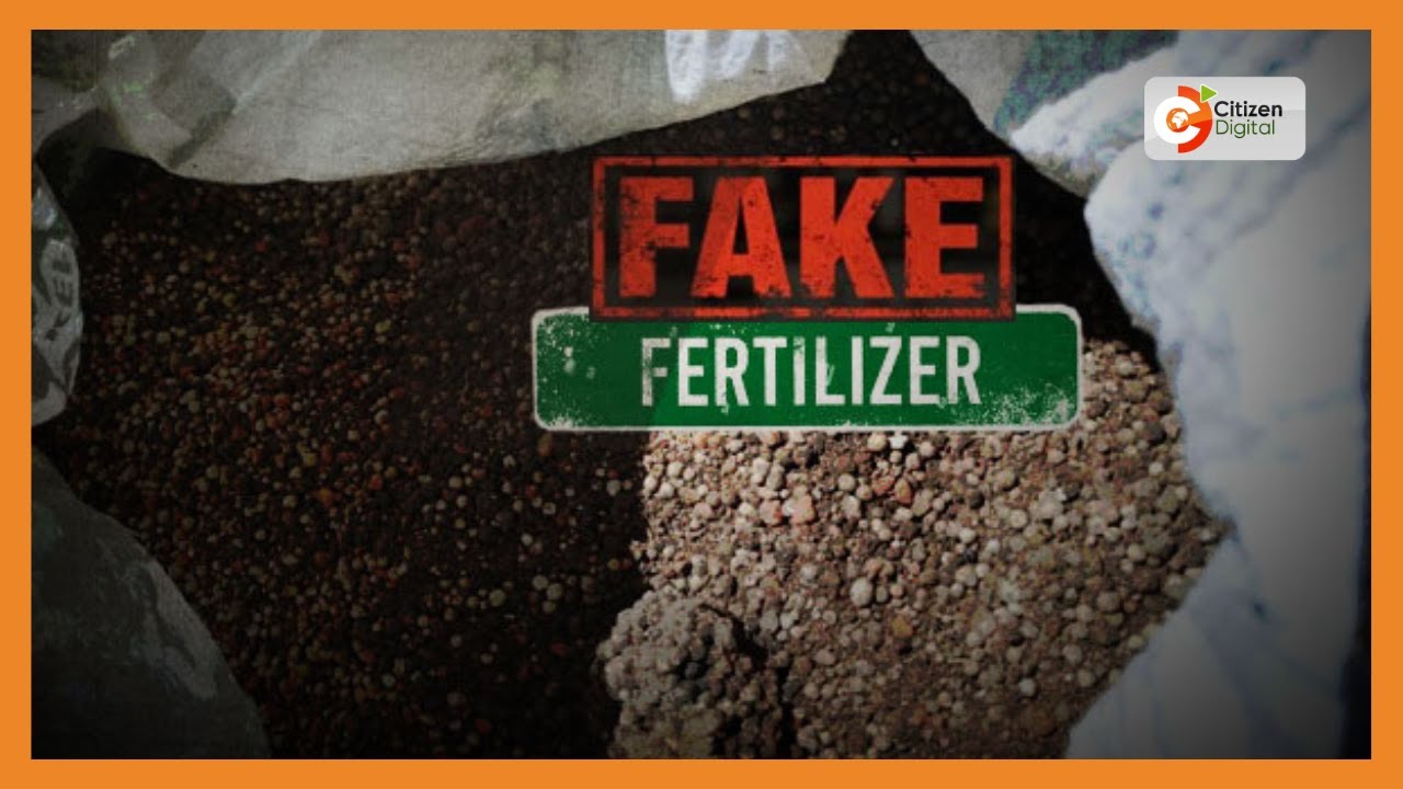 DAY BREAK | Crooks who supplied farmers with fake fertiliser put on notice