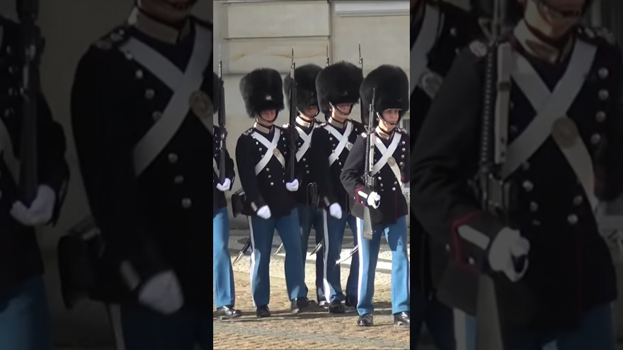 Royal Life Guards, Schloss Amalienborg, Dänemark #Dänemark #SchlossAmalienborg #shorts #short