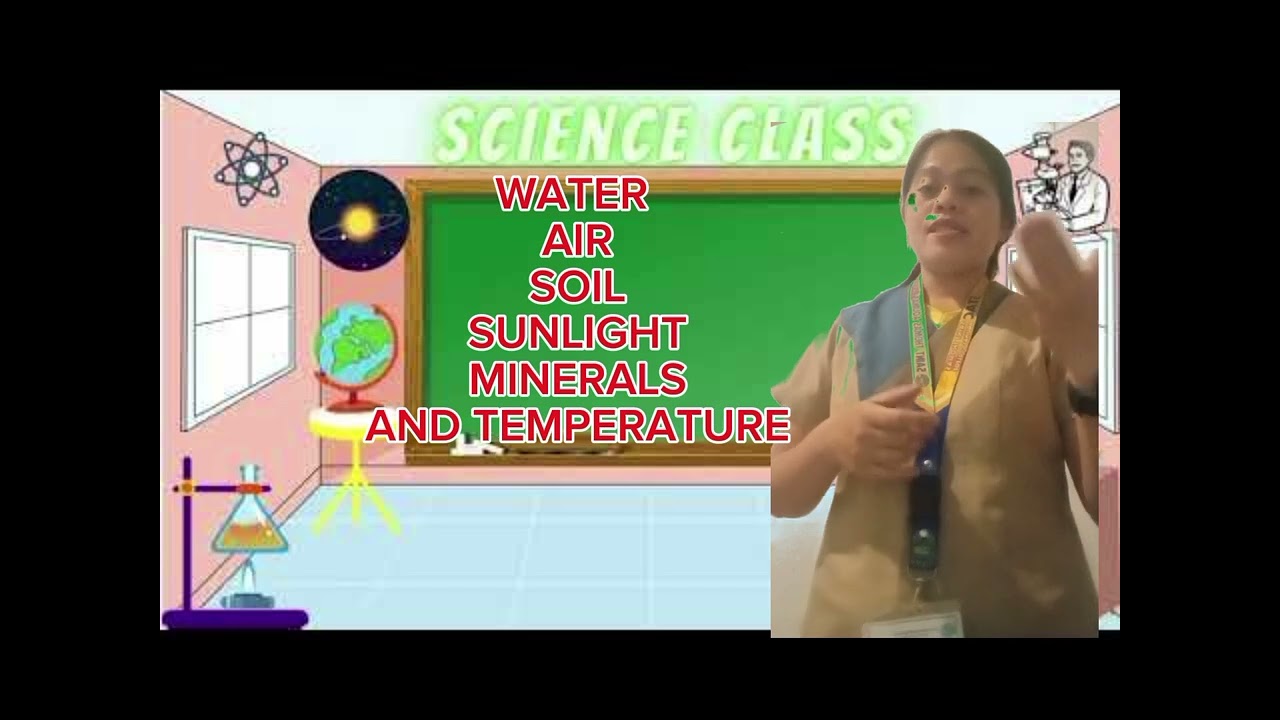 ESTUARIES AND INTERTIDAL ZONES (AVL) AUDIO VISUAL LEARNING IN SCIENCE