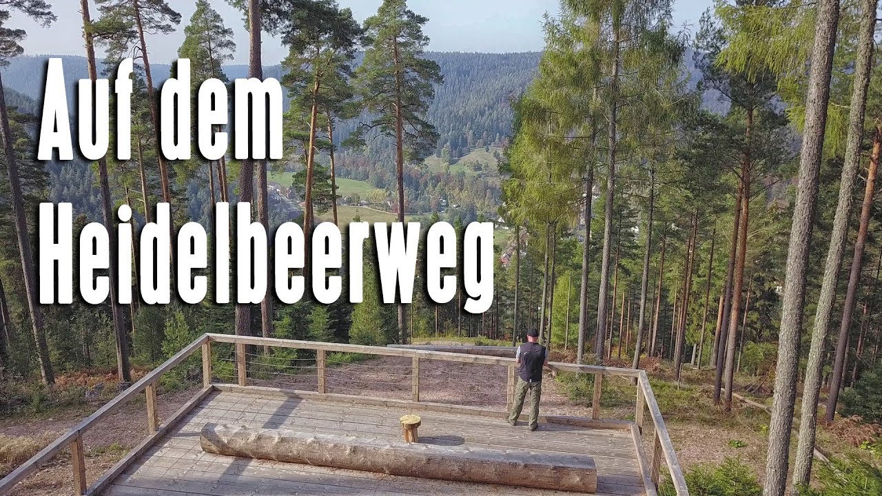 Unterwegs in Enzklösterle - Auf dem Heidelbeerweg (4K)