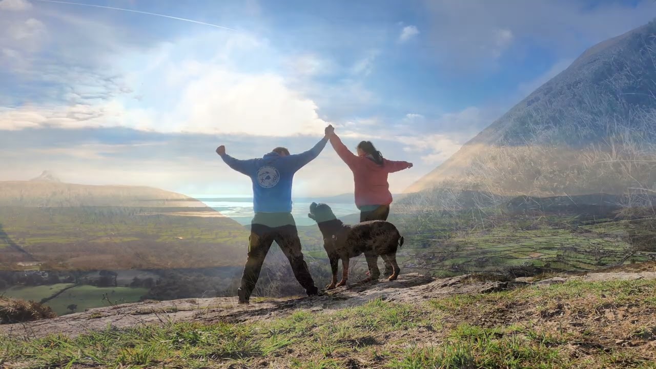 Cezar King of the Mournes RIP