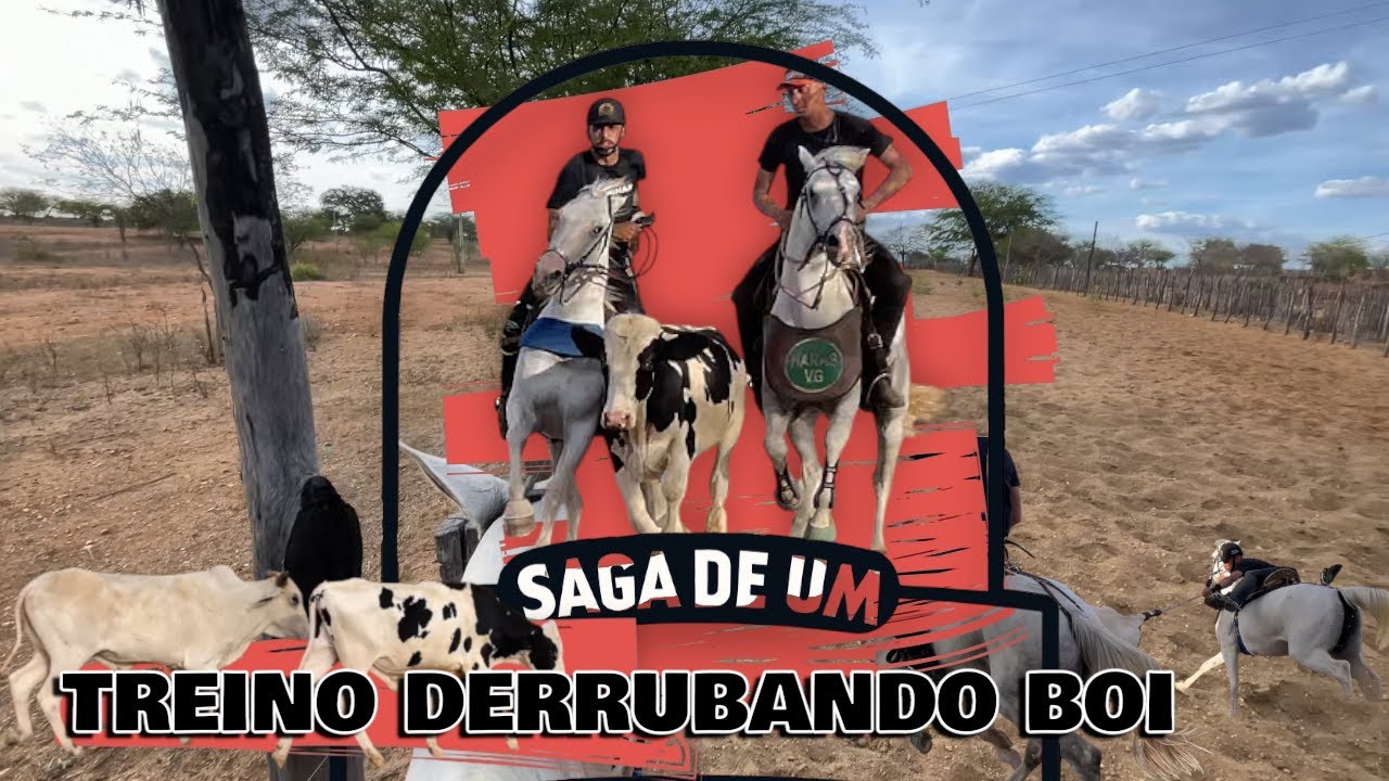 Treino derrubando boi na pista de F&aacute;bio 🔥🐂