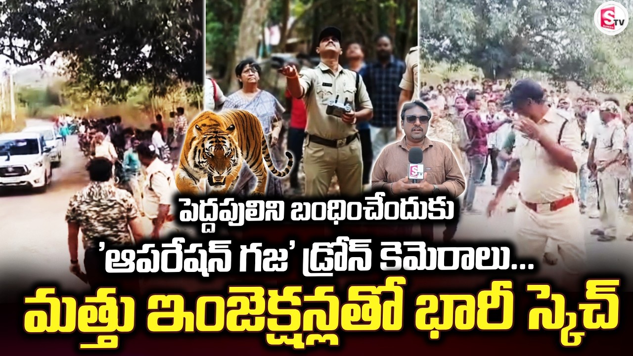 పెద్దపులిని బంధించేందుకు 'ఆపరేషన్ గజ' | Annavaram | Operation Gaja | @SumanTV Annavaram