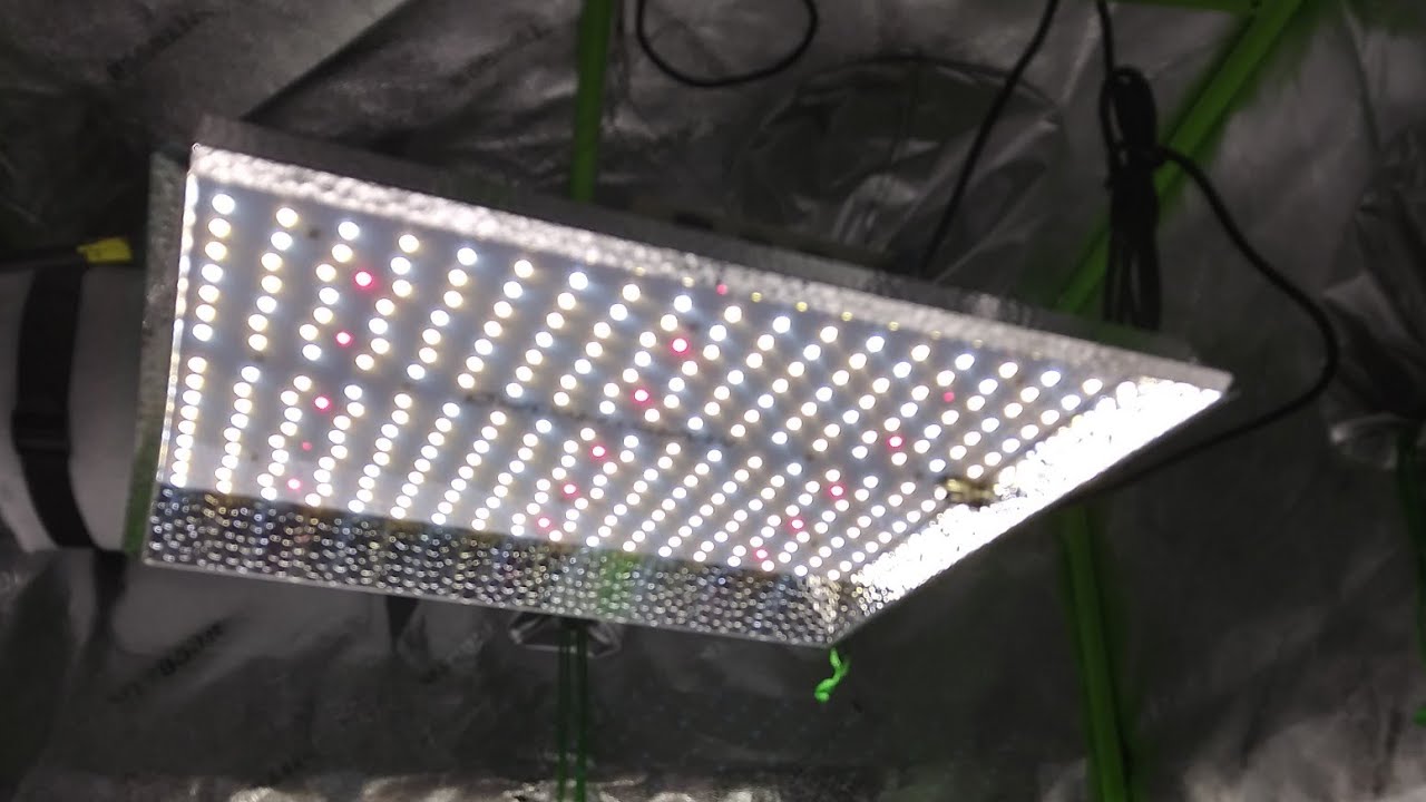 Mars Hydro TS1000 Unboxing (Link in description)