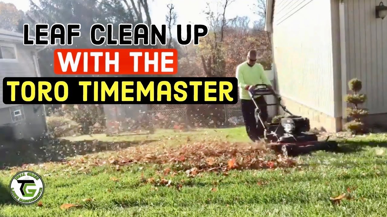 LEAF CLEAN UP - Mulching Leaves - (ODDLY SATISFYING)
