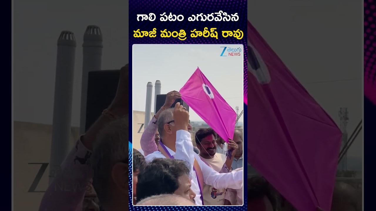 Ex Minister Harish Rao | Siddipet | గాలి పటం ఎగురవేసిన  మాజీ మంత్రి హరీష్ రావు | Zee News