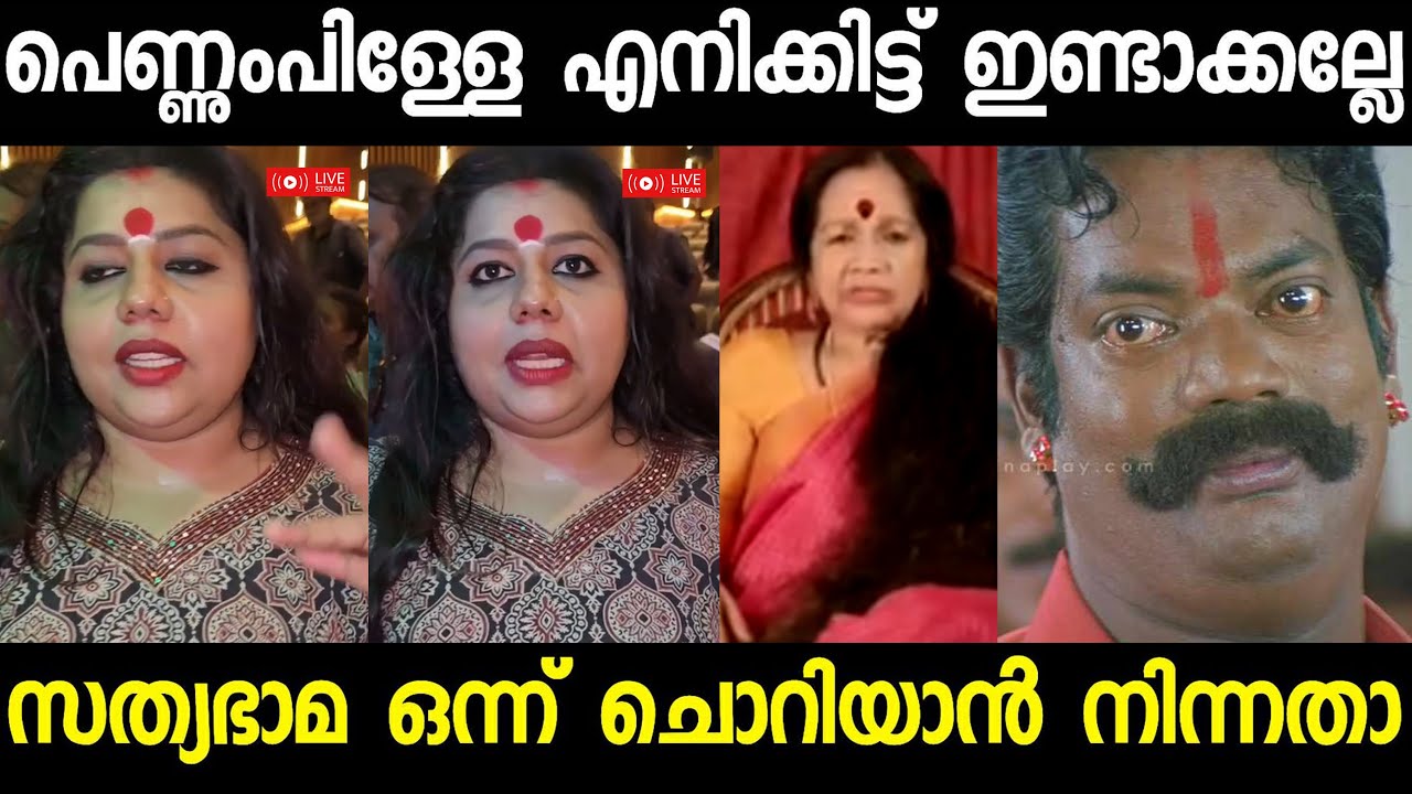 ദേ പെണ്ണുമ്പിള്ളേ എനിക്കിട്ട് ഉണ്ടാക്കാൻ നിക്കല്ലേ !! Sathyabama | sneha sreekumar | subin duttu |