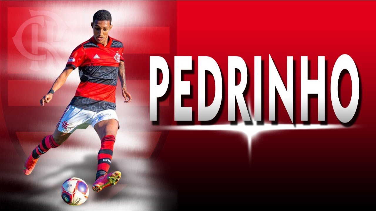 PEDRINHO | ATTACKING MIDFIELDER/PLAYMAKER | FLAMENGO - 2023 |  Skills, Goals & Assists | HD