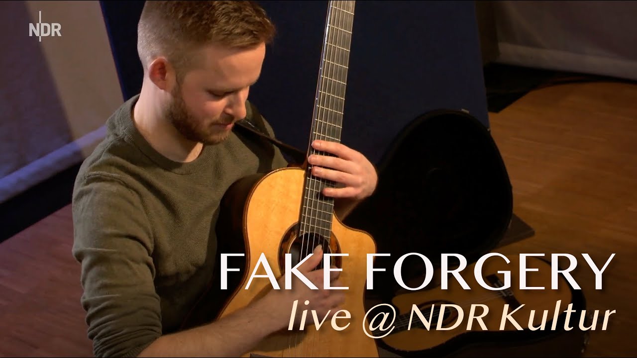 S&ouml;nke Meinen | Fake Forgery (original) | LIVE @ NDR Kultur Extra