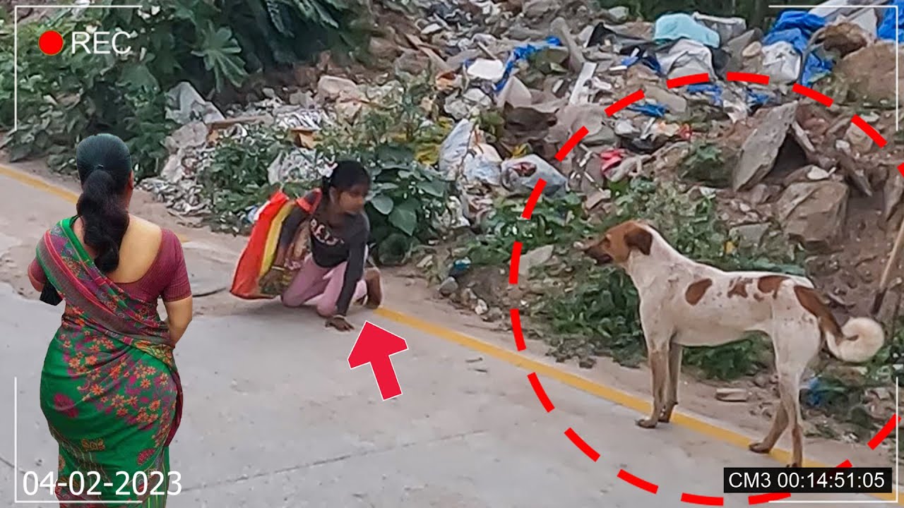 Amazing Act Of Honesty 🙏👏 | Real Life Heros | Humanity | Help Others | Awareness Video | 123 Videos