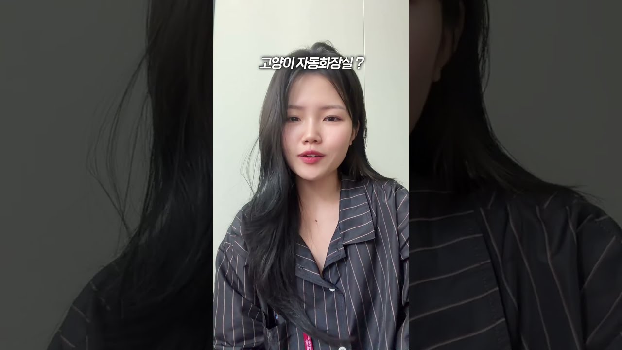 수의사엄마가 사용중인 내돈내산 고양이 자동화장실