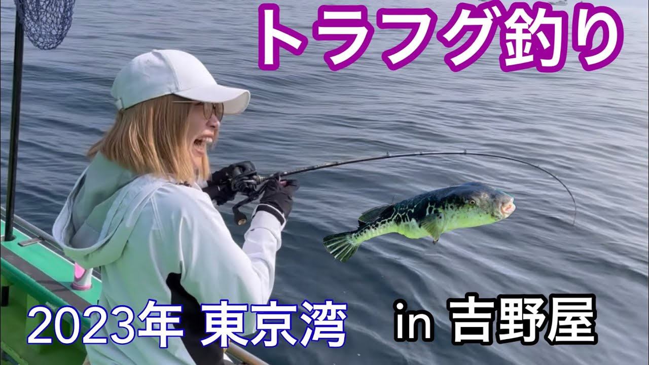【東京湾トラフグ釣り】浦安吉野屋さんにてトラフグ釣りに行ってきました！