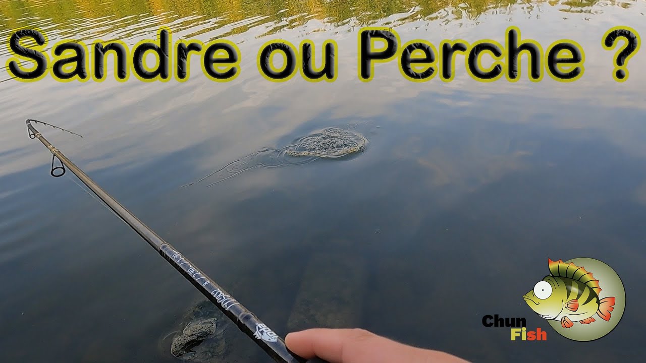 P&ecirc;che en Canal Belgique, pas &eacute;vident !