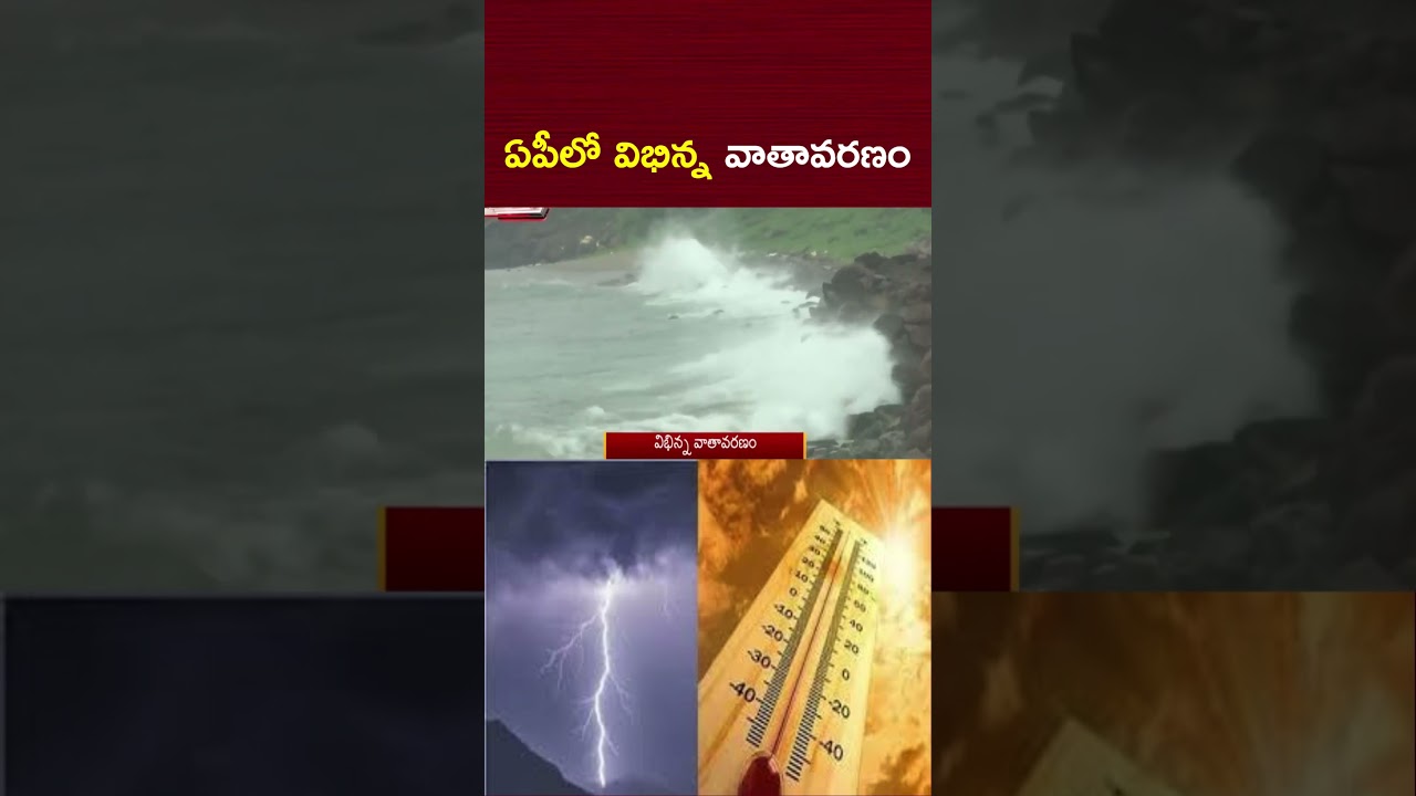 ఏపీలో విభిన్న వాతావరణం | Weather Updates | NTV Telugu