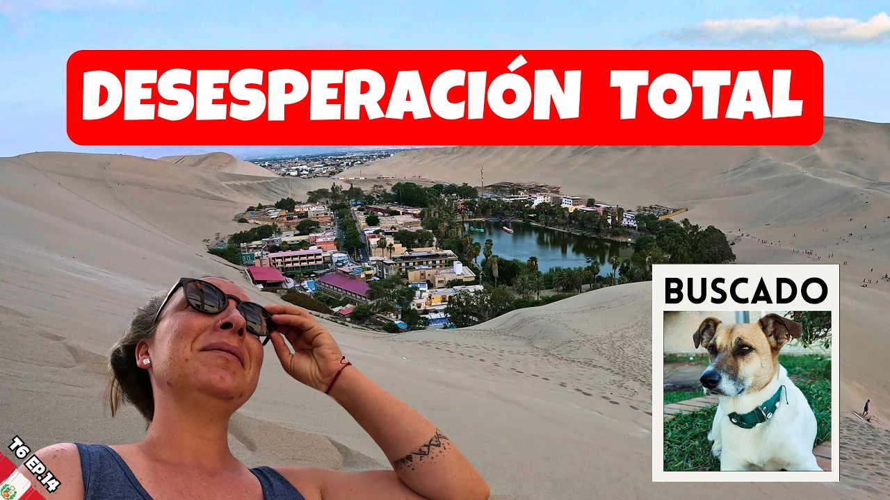 Se nos PERDIÓ el PERRO😭 en el DESIERTO de HUACACHINA 