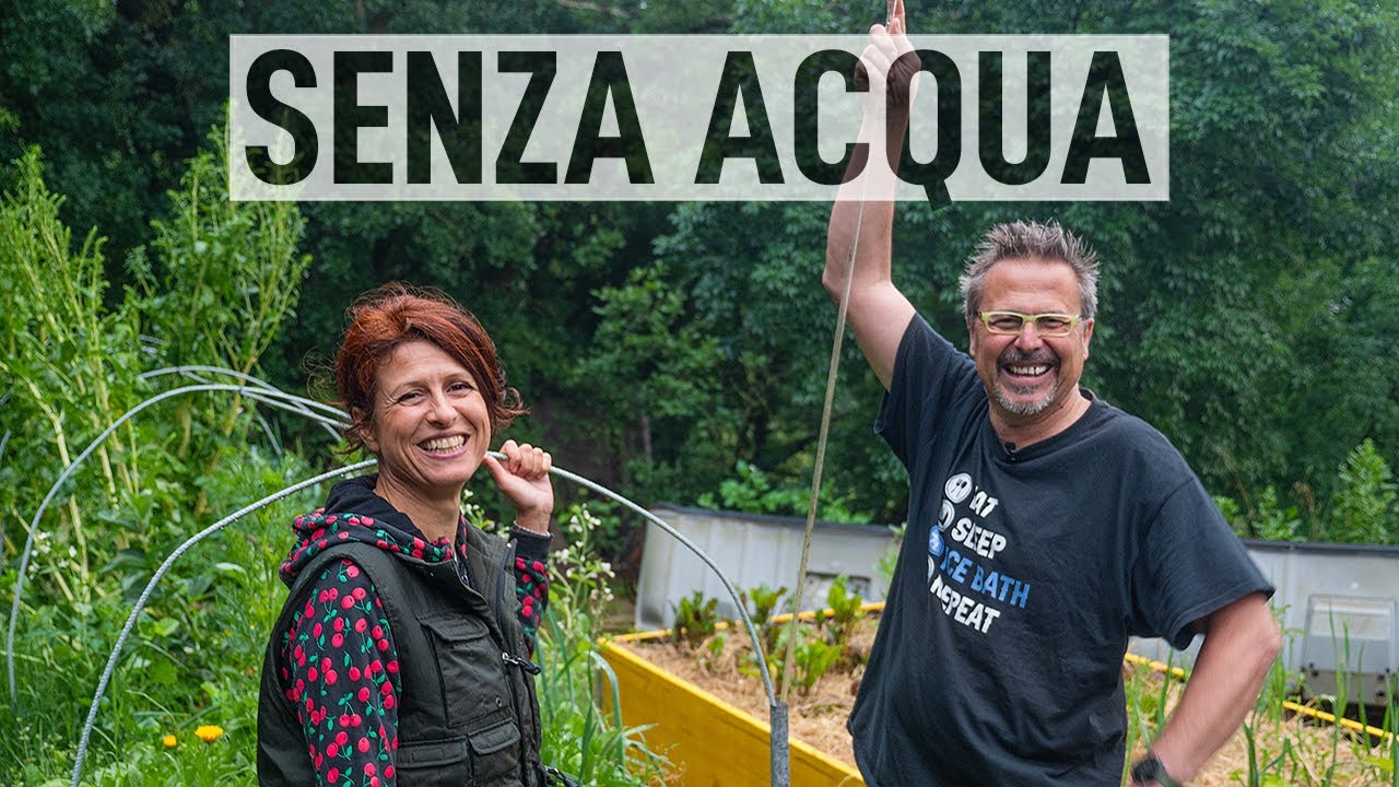 ORTO AUTOIRRIGANTE. Coltivare senz'acqua 💧