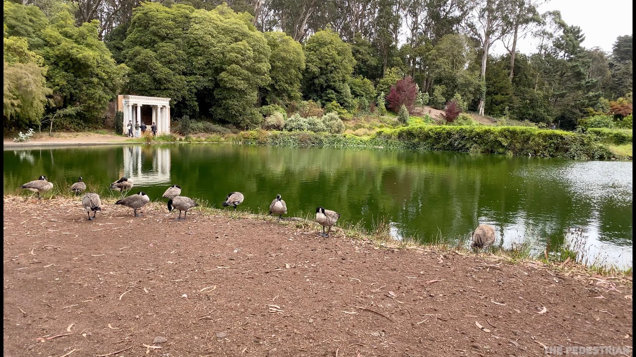 【4K】Walking through San Francisco's Golden Gate Park (NW Side) - Part 1