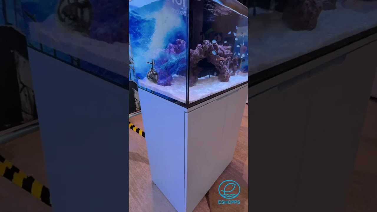 New Mariners Launched at Reef-A-Palooza Ca 2025
