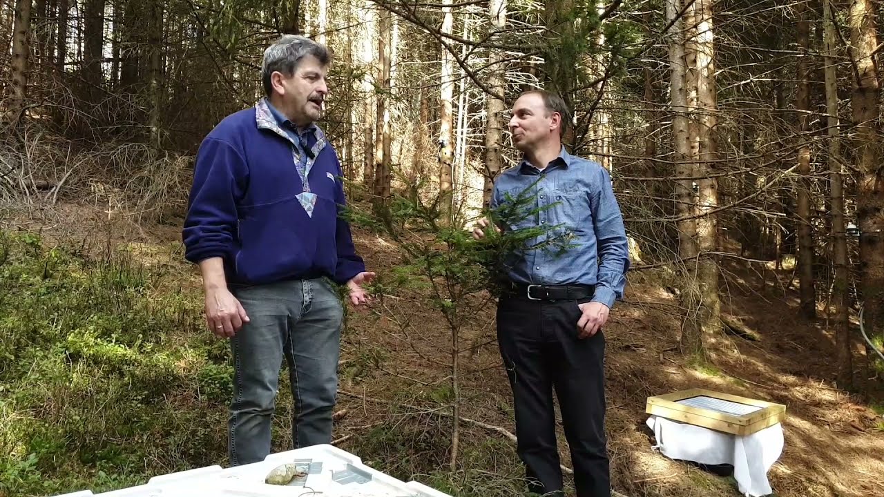 Gut zu wissen - Nachhaltig im Mondseeland, Teil 25 - Forschungslabor Wald