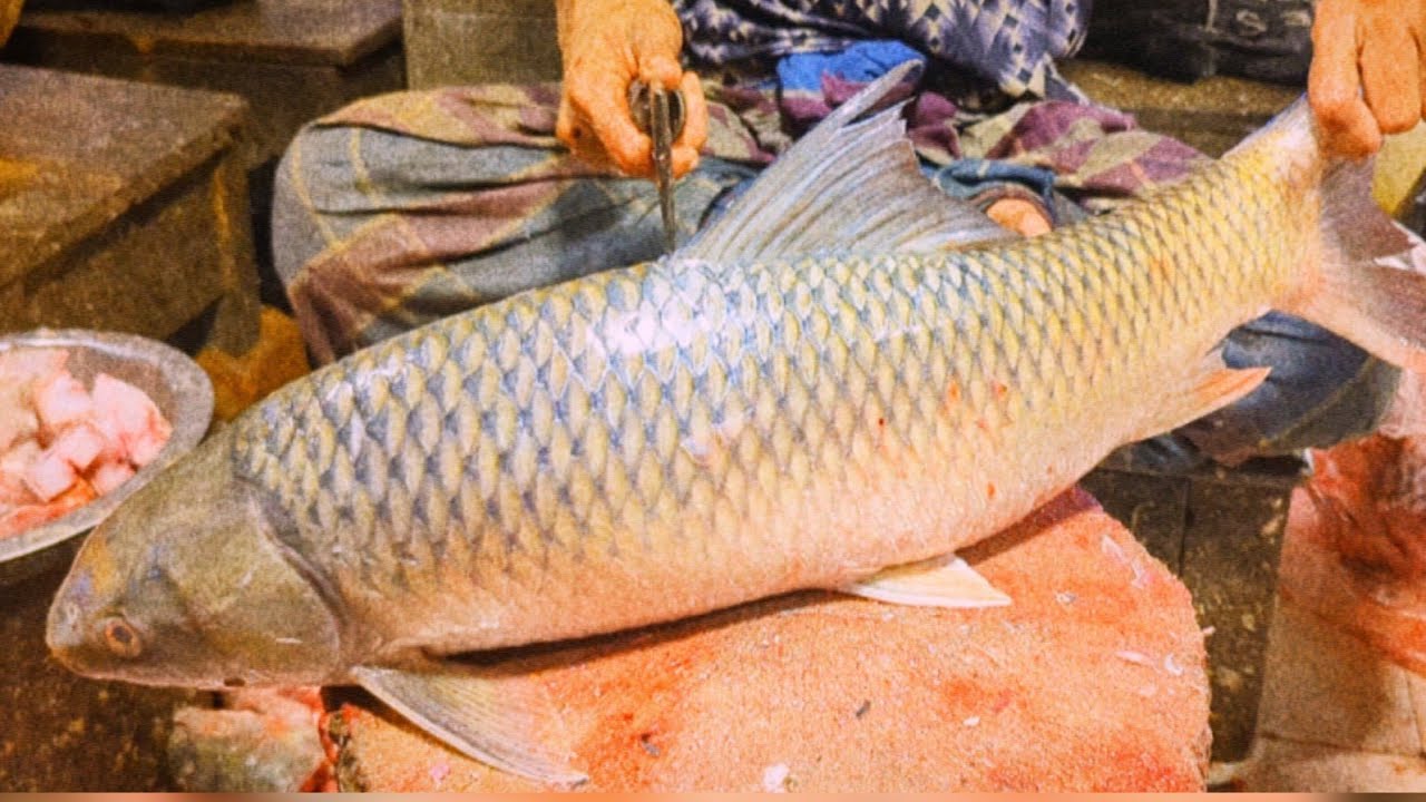 Big Mrigal Fish Cutting Skills Like!! Boss In Bangladesh Fish Market