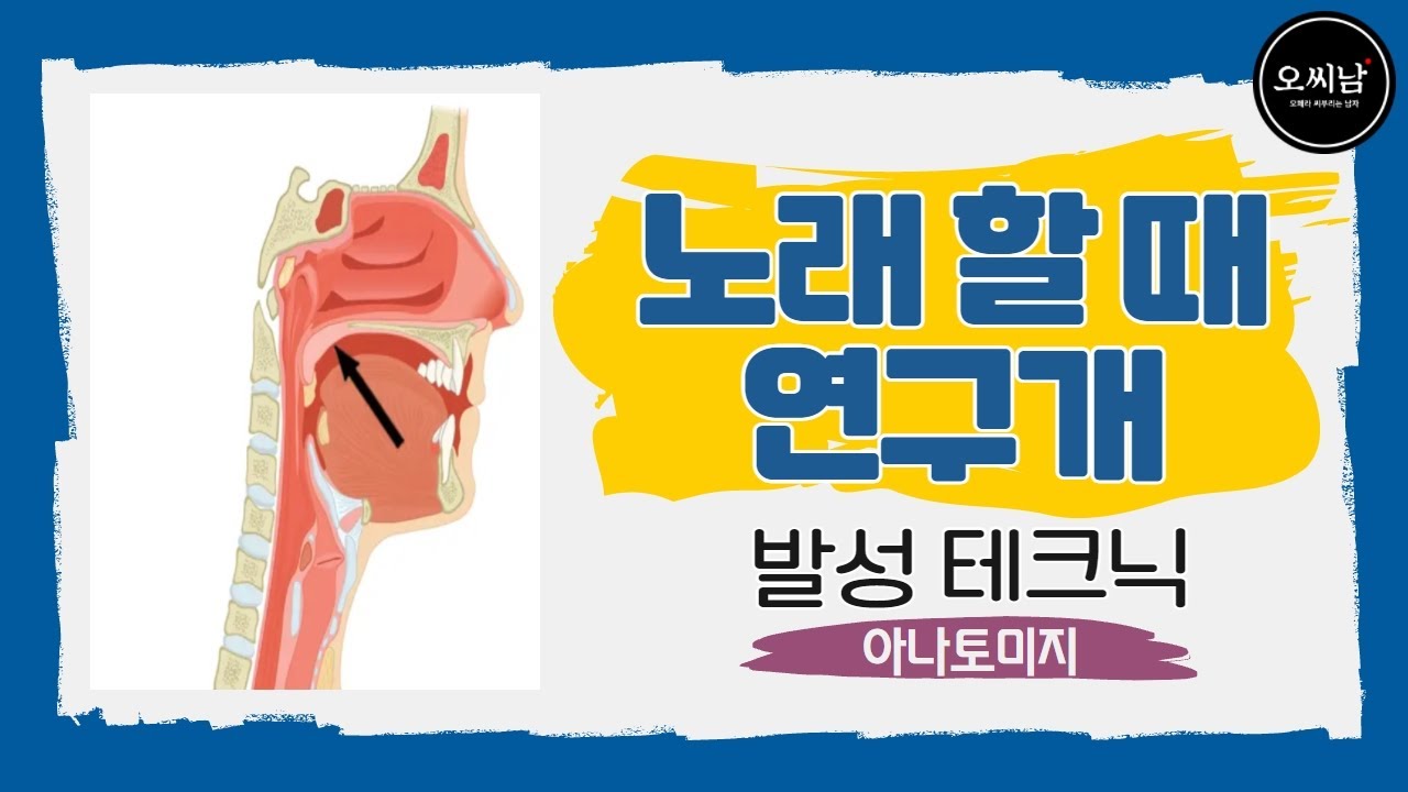 [발성 테크닉] 제발...노래 할 때 연구개 제대로 알고 사용 하세요 - 아나토미지 발성