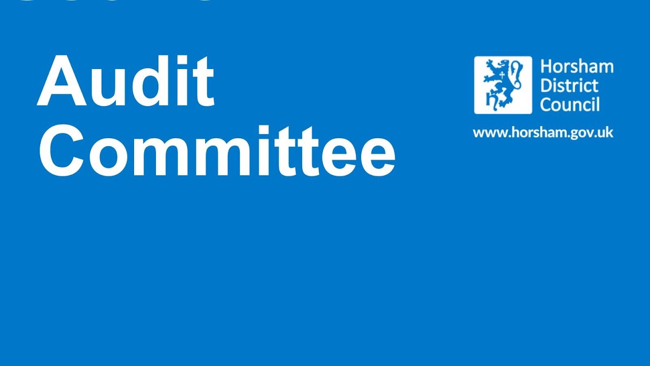 Audit Committee - 26 November 2025