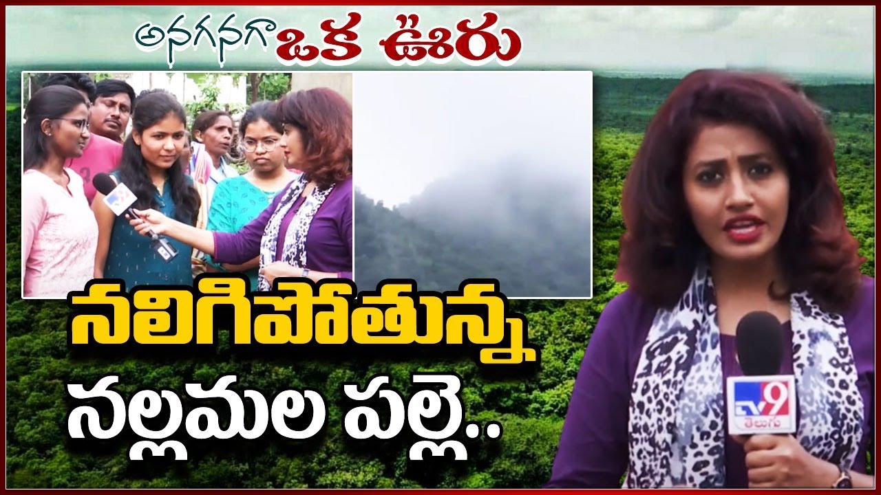నాడు ముంపు వేదన.. నేడు అరణ్య రోదన..! | Anaganaga Oka Ooru - TV9