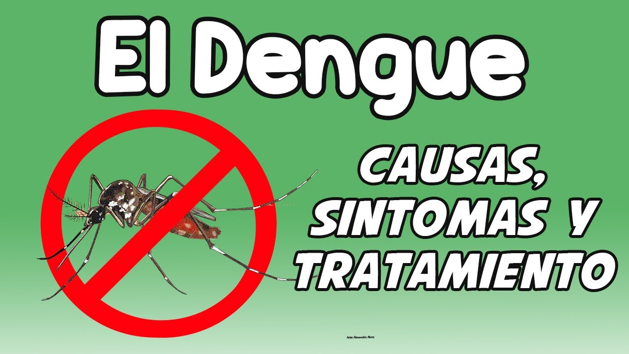 EL DENGUE, Causas, s&iacute;ntomas, diagn&oacute;stico y tratamiento