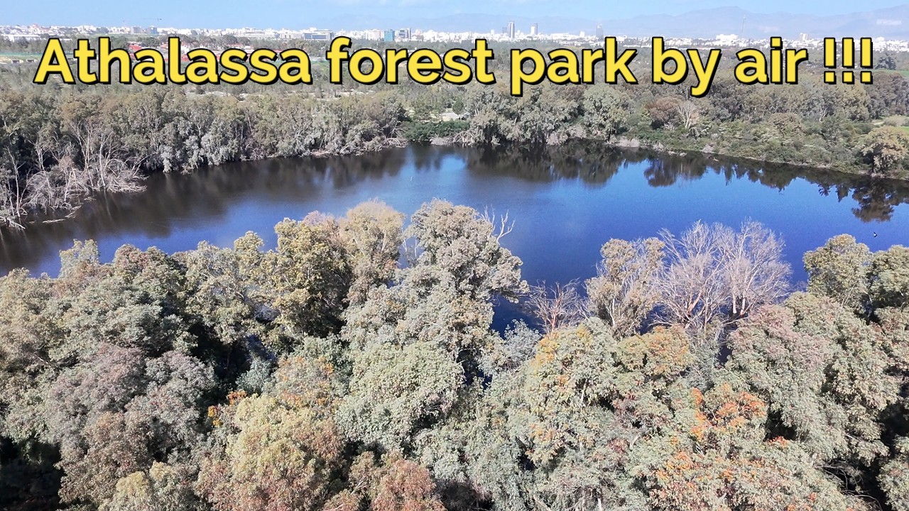 ATHALASSA FOREST PARK BY AIR !!!
