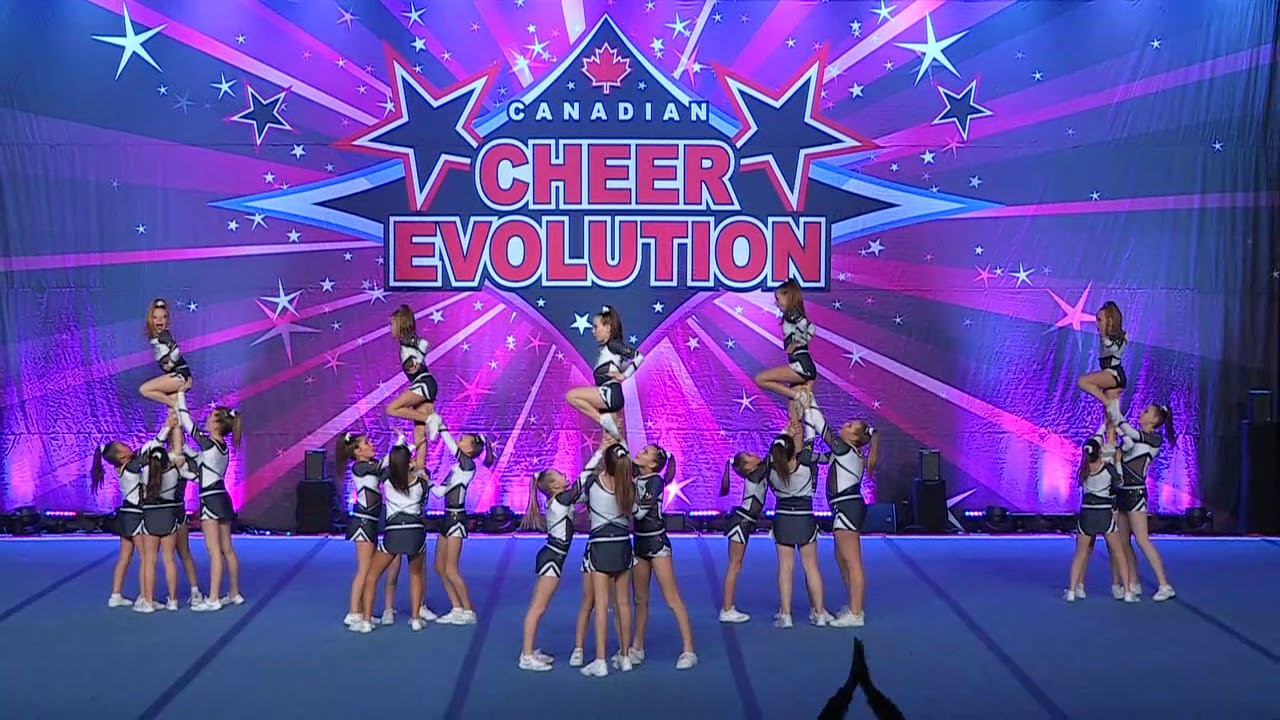 Coyotes  Shimmer Pack   Junior 2