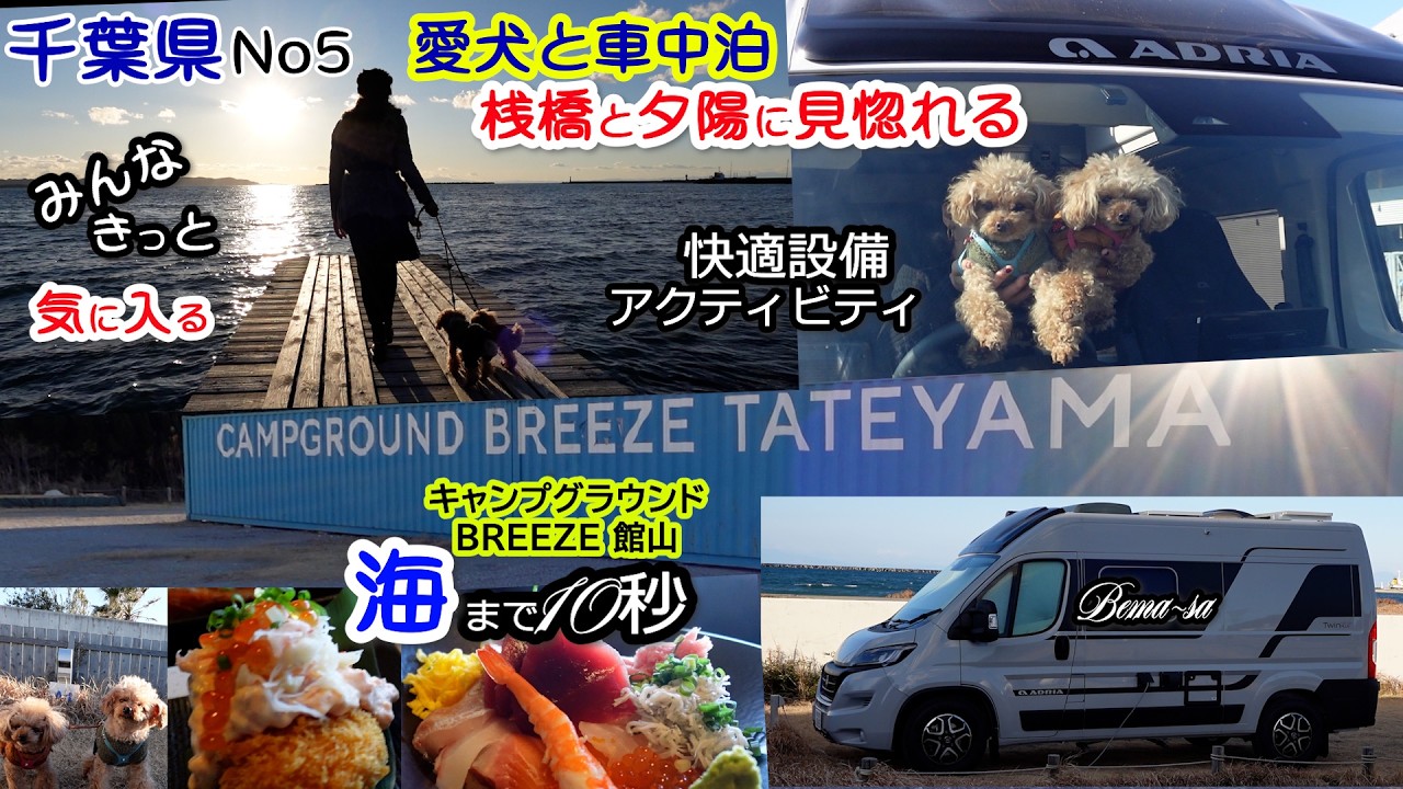 必見! この桟橋と海まで10秒 キャンプグラウンドBREEZE館山 激うま人気の海鮮食堂膳 愛犬と車中泊