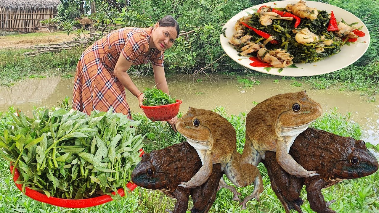 My countryside Cooking recipe - Cooking frog with Natural green vegetables | Rural Cooking Life