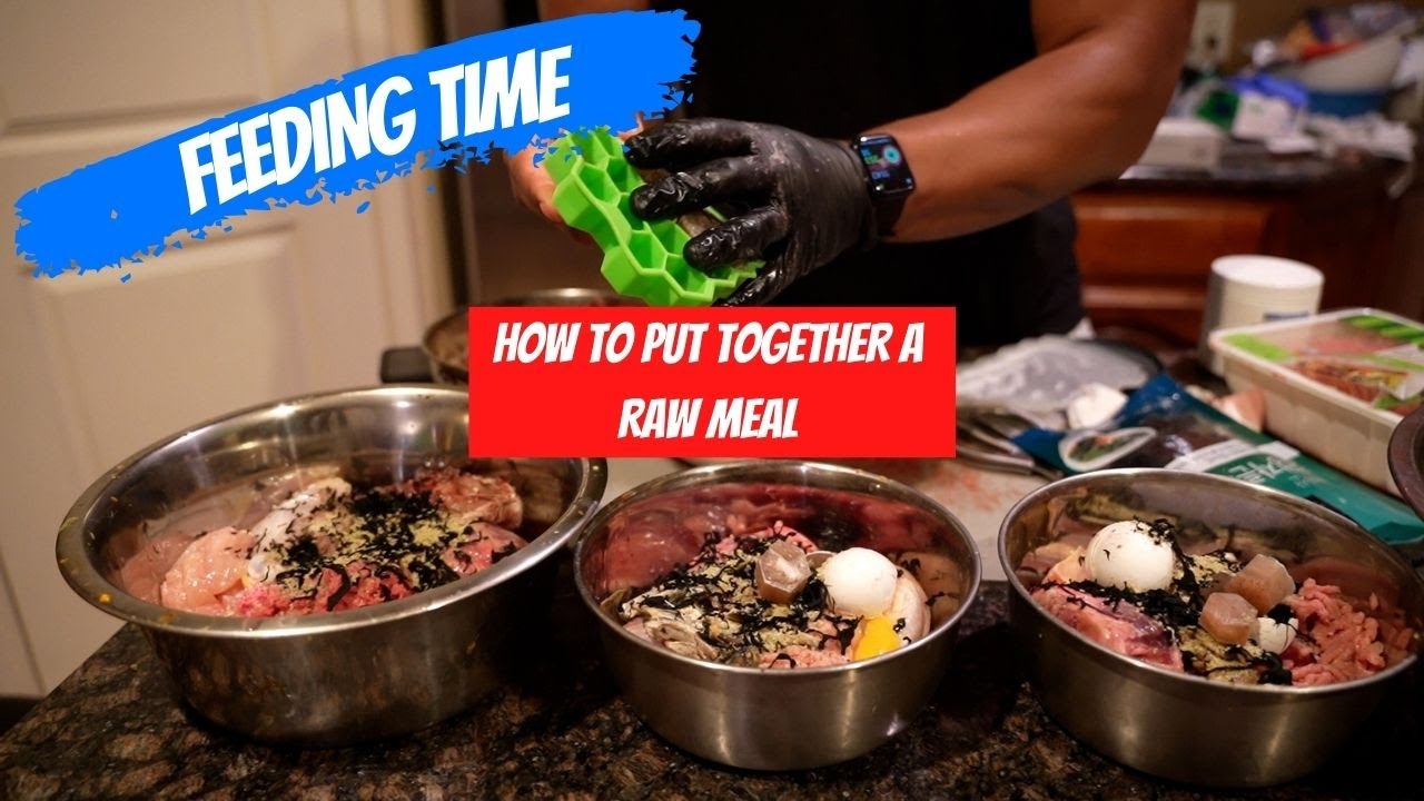 Feeding Time!!! Raw Meal Prep