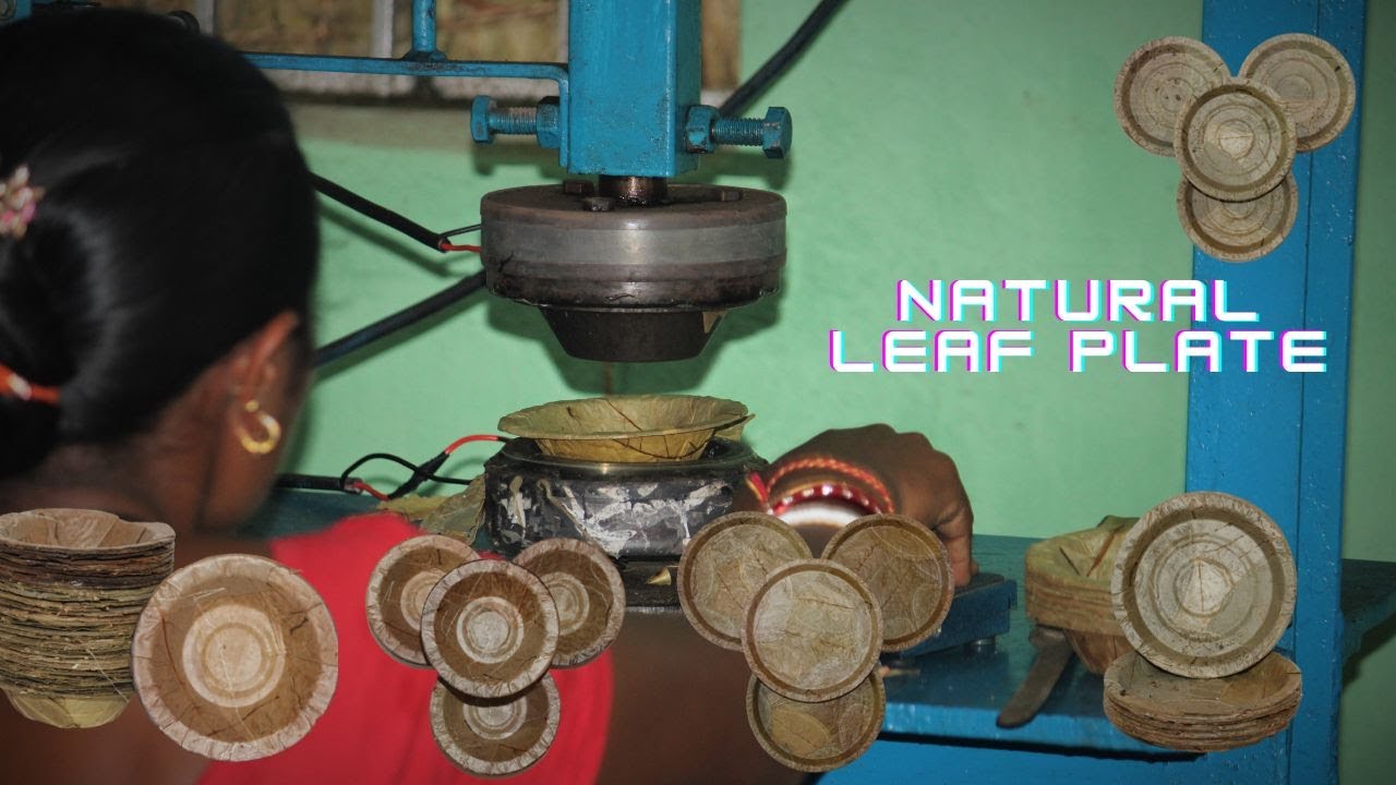 Natural Leaf Plate Making Process
