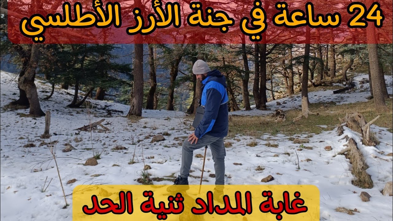 24 ساعة داخل غابة المداد بثنية الحد | جنة الأرز الأطلسي المخفية 🇩🇿