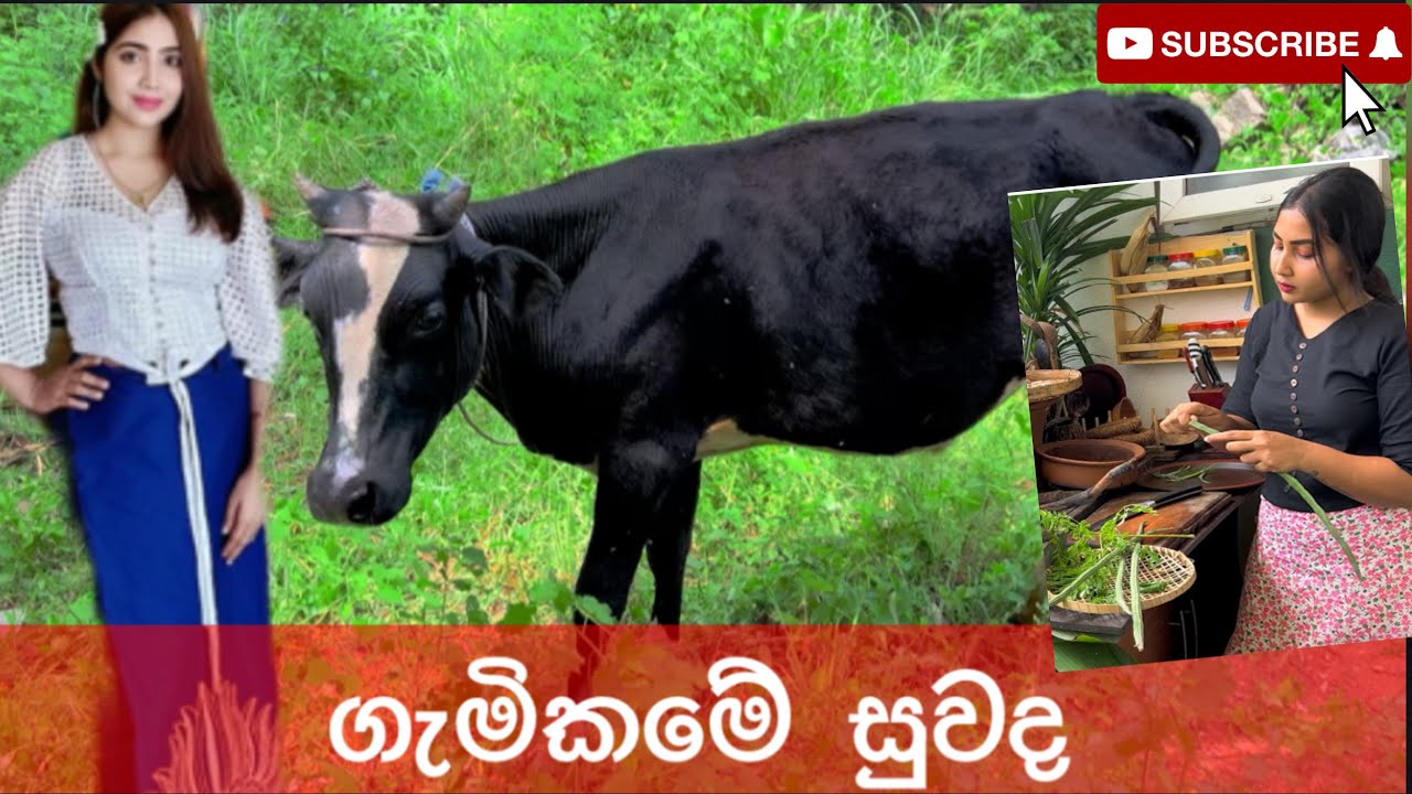 ගැමිකමේ සුවද ඔබත් හදුනනවාද? |🦋🌸🍀 #villagelife #ridmapilapitiya