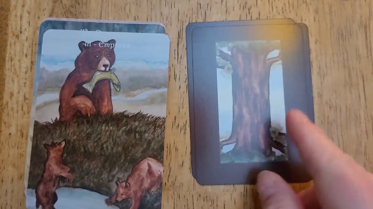 The Badger's Forest Tarot by Nakisha Elsje Vanderhoeven - Flip Thru