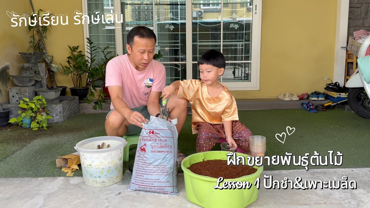 รักษ์เรียน รักษ์เล่น | ฝึกขยายพันธุ์ต้นไม้ #เด็ก #เรียนรู้ #kidlearning #กิจกรรมเด็ก