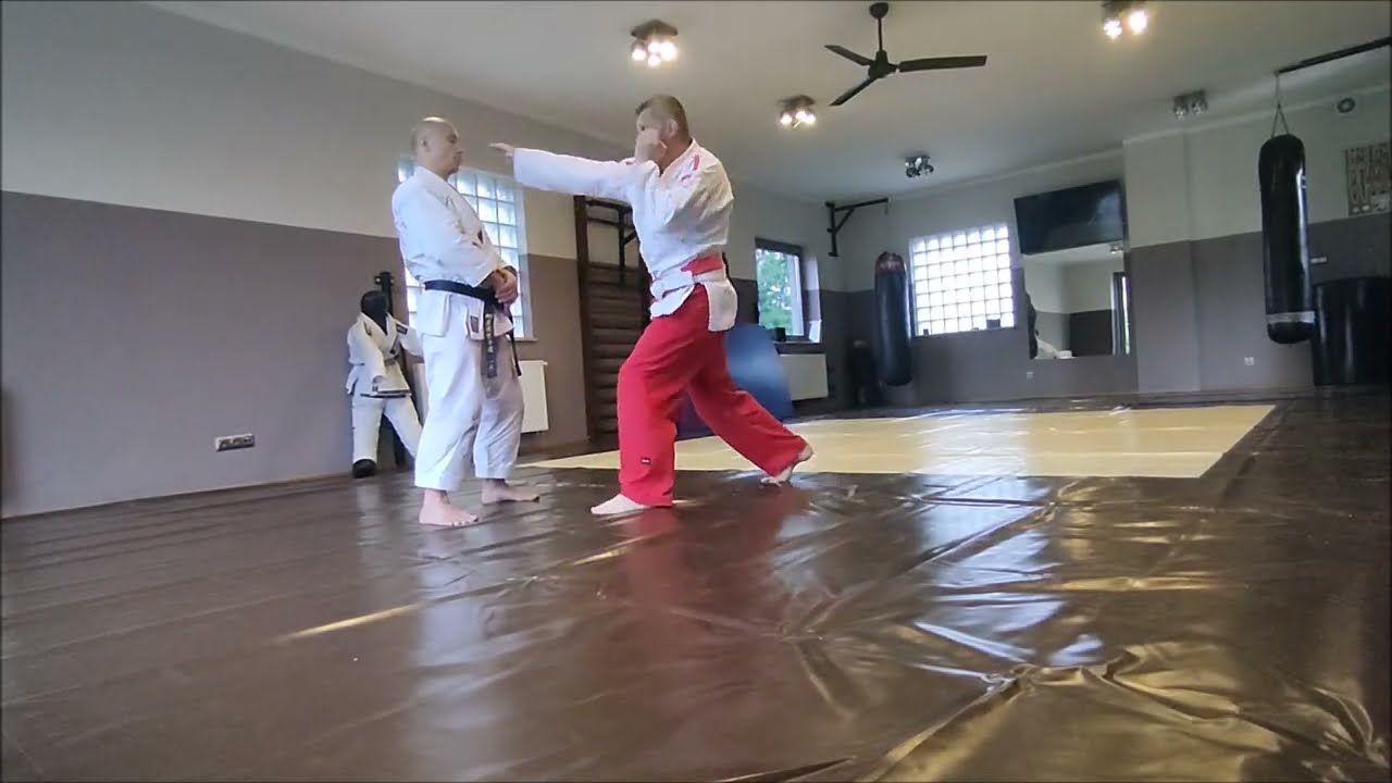 1 kyu Guja Jiujutsu (brown belt)