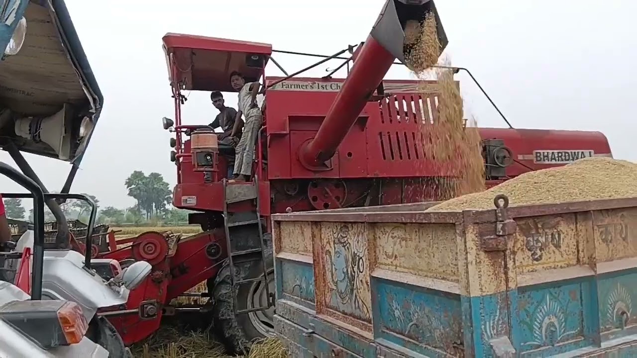 धान की कटाई 🌾🌾 @harvestright #trendingshorts #automobile #harvester #farming  #explore #explorepage 