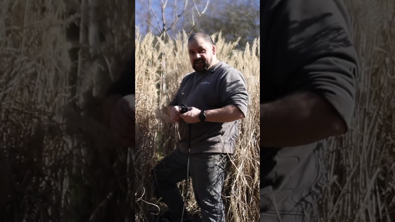 Caring for Ornamental Grasses  |. Future Forests Ireland