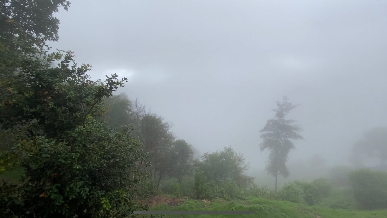 Busco un terreno en la Sierra Norte de Oaxaca  !