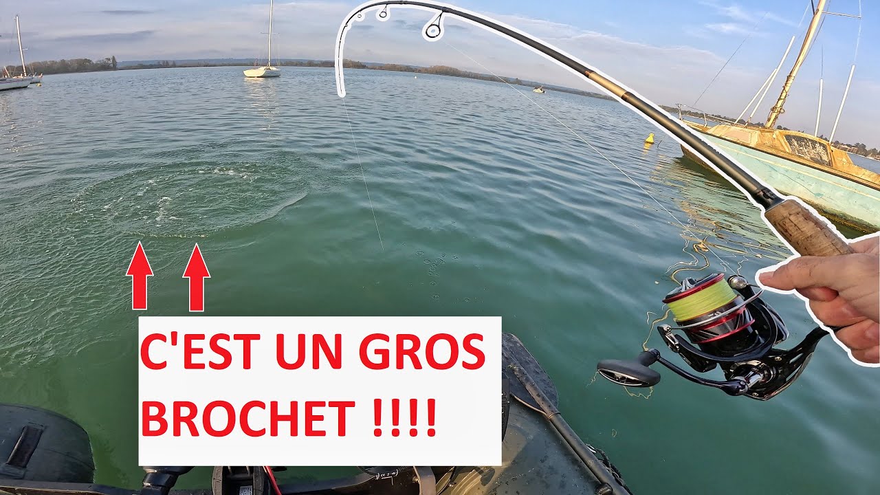 JE PÊCHE un ENORME BROCHET en cherchant la PERCHE au DROPSHOT !!