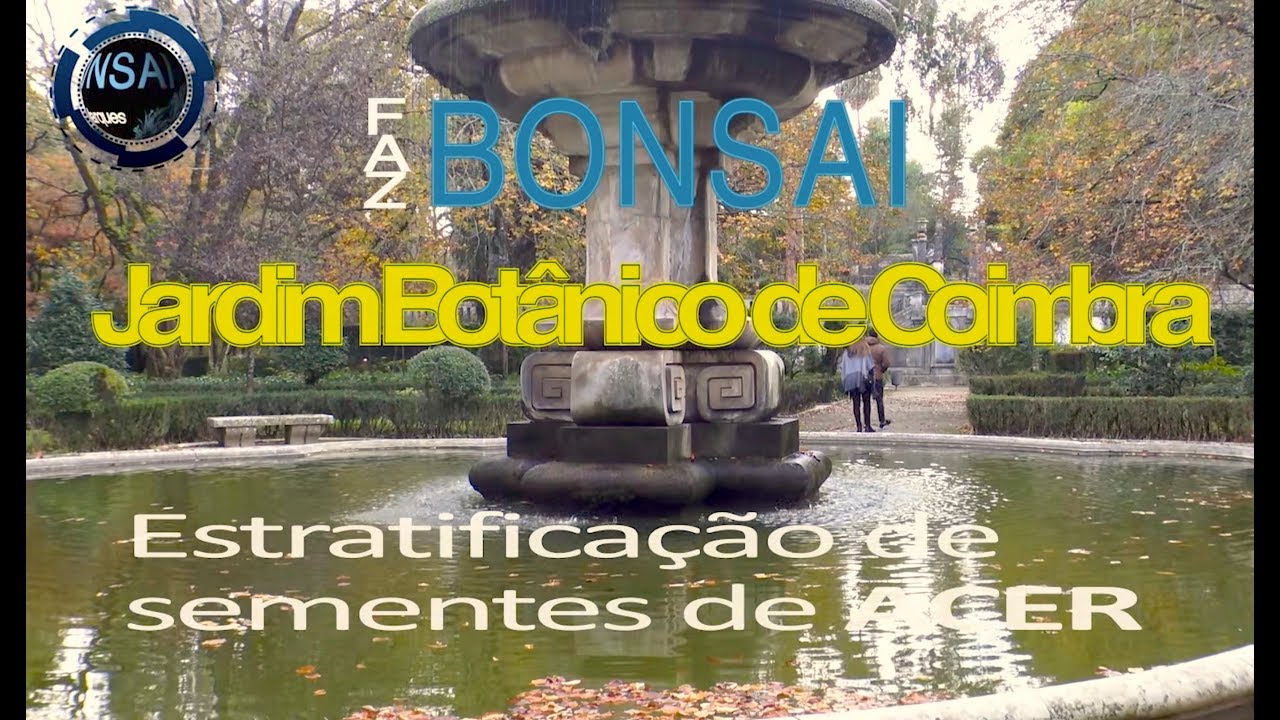 Jardim Botânico de Coimbra e Estratificação de Sementes de Acer - Faz Bonsai