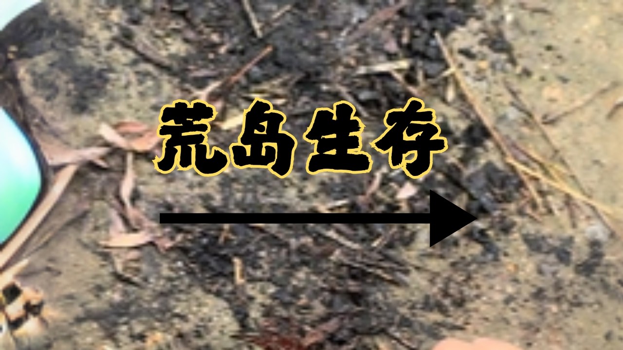 沉浸式挑战荒岛生存！远离现代文明，独自在野外流浪探索，每一步都是未知，户外冒险感直接拉满！