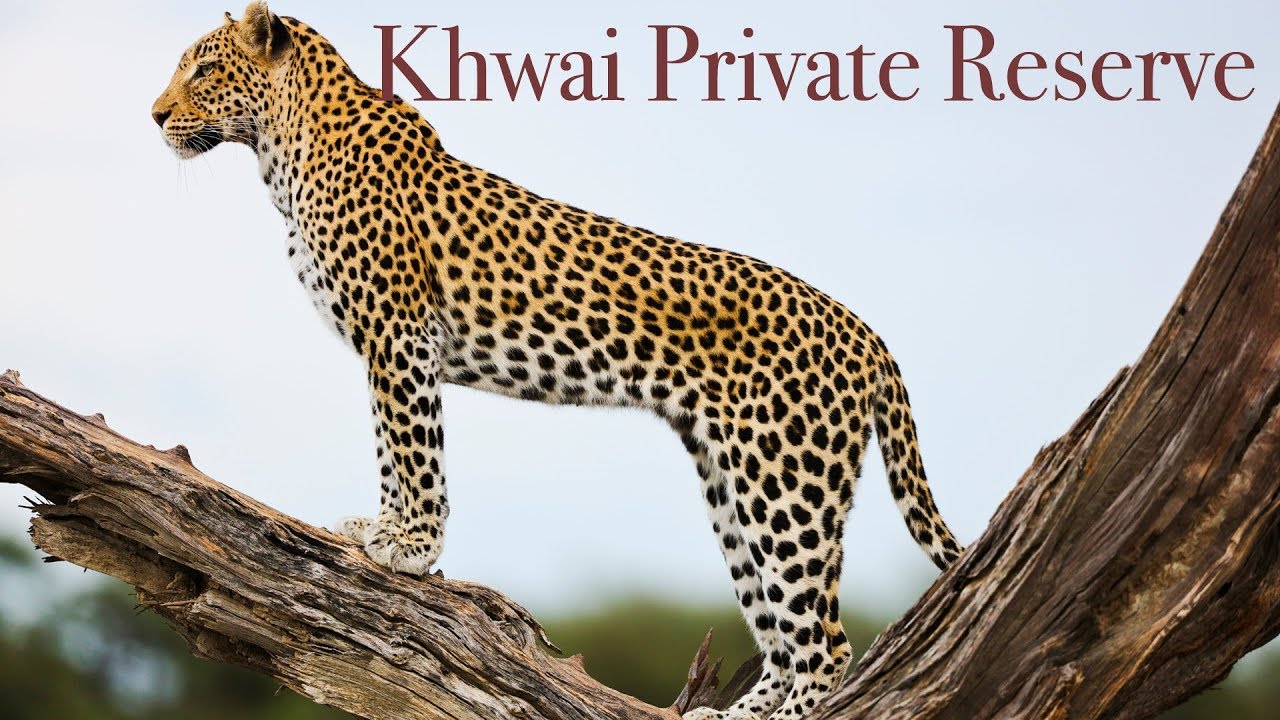 Luxury Lodges of Africa. Khwai Private Reserve - Natural Selection Travel - Botswana